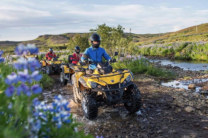 Whale Watching & ATV Adventure from Reykjavik - Three hours watching for whales and dolphins
