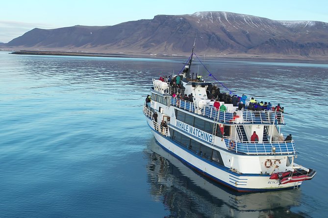Whale-Watching Boat Tour with Expert Guide from Reykjavik - Finding whales, dolphins, and porpoises
