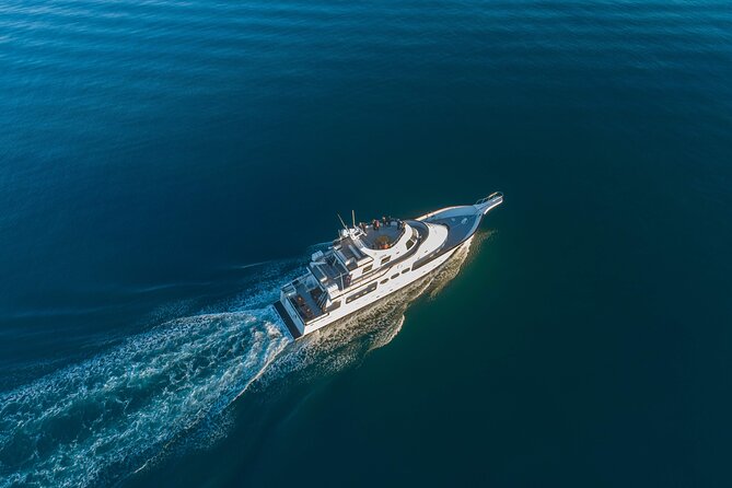 Whale Watching Cruise on a Yacht in Reykjavik - Searching for minke and humpback whales