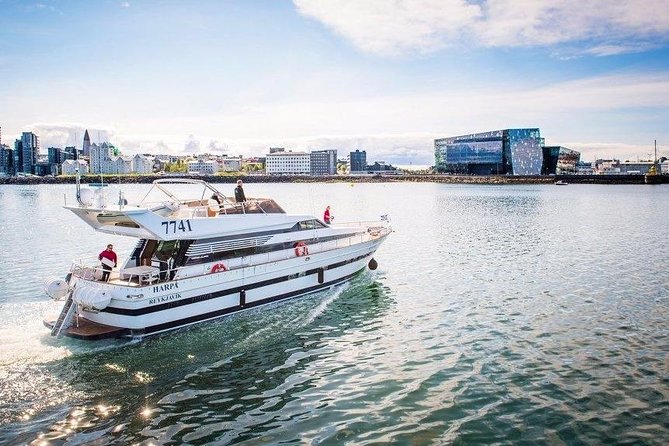 Whale Watching & Dolphin Yacht Cruise - Key points at a glance