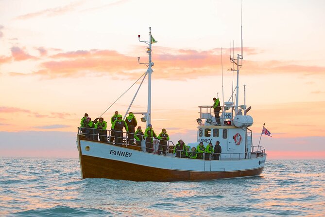 Whale Watching in Husavik - Hot cocoa, a sweet bun, and the return to Húsavík