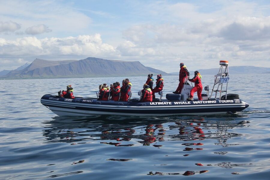 Whale Watching in Reykjavik by Speedboat - Best seats and practical planning tips