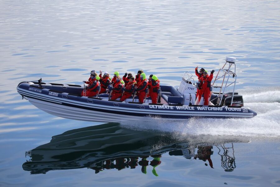 Whale Watching in Reykjavik by Speedboat - The fast RIB ride out of the harbor