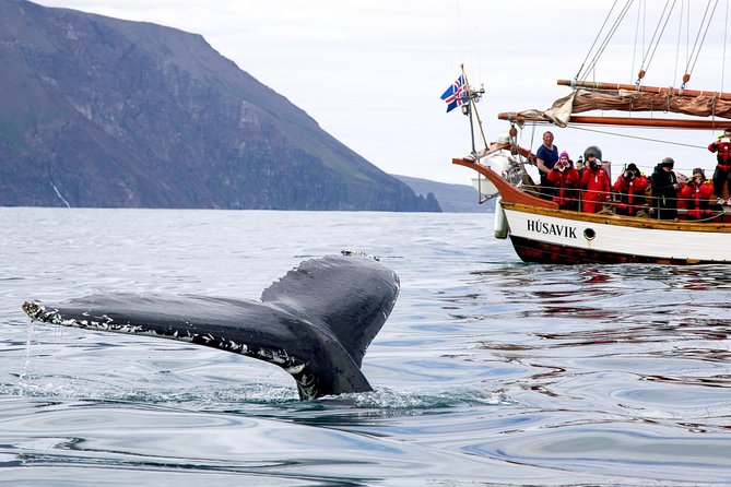 Whale Watching on a Traditional Oak Sailing Ship from Husavik - Cold-weather suits help, but layers still matter