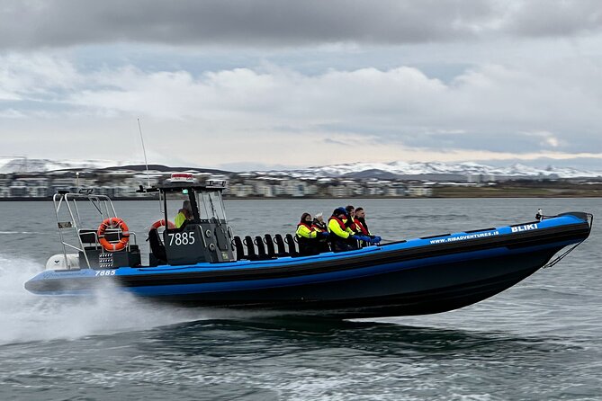 Whale Watching - RIB Boat Adventure in Kopavogur, Iceland - Why this RIB trip feels different from a standard whale cruise
