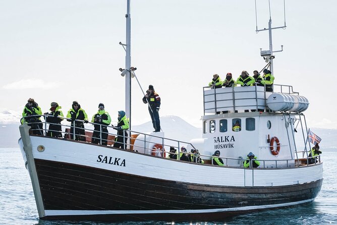 Whales and Puffins Tour from Husavik - The $130 price and group size