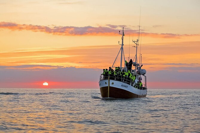 Whales and Puffins Tour from Husavik - Seeing the puffin colony first