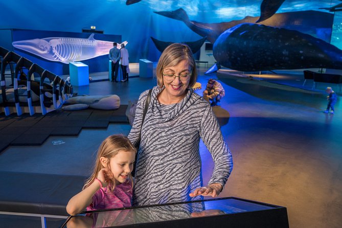 Whales Of Iceland Admission Ticket - The Fin Whale Theatre and Its Conservation Message