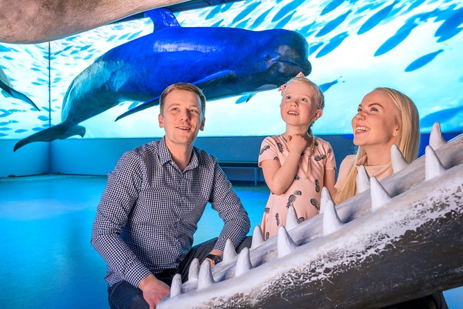 Whales Of Iceland Admission Ticket - How Long to Allow and What to Combine Nearby