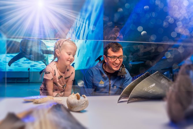 Whales Of Iceland Admission Ticket - Café, Parking, and Simple Practical Details