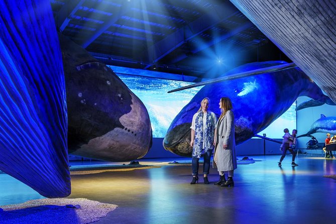 Whales of Iceland from Land and Sea - Building the experience into your Reykjavik day