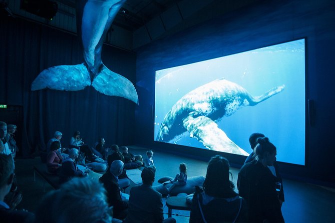 Whales of Iceland from Land and Sea - Who should book this experience?