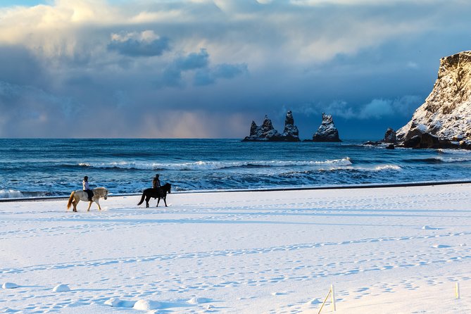Winter South Coast Day Tour by Minibus from Reykjavik - The guides shape the whole day